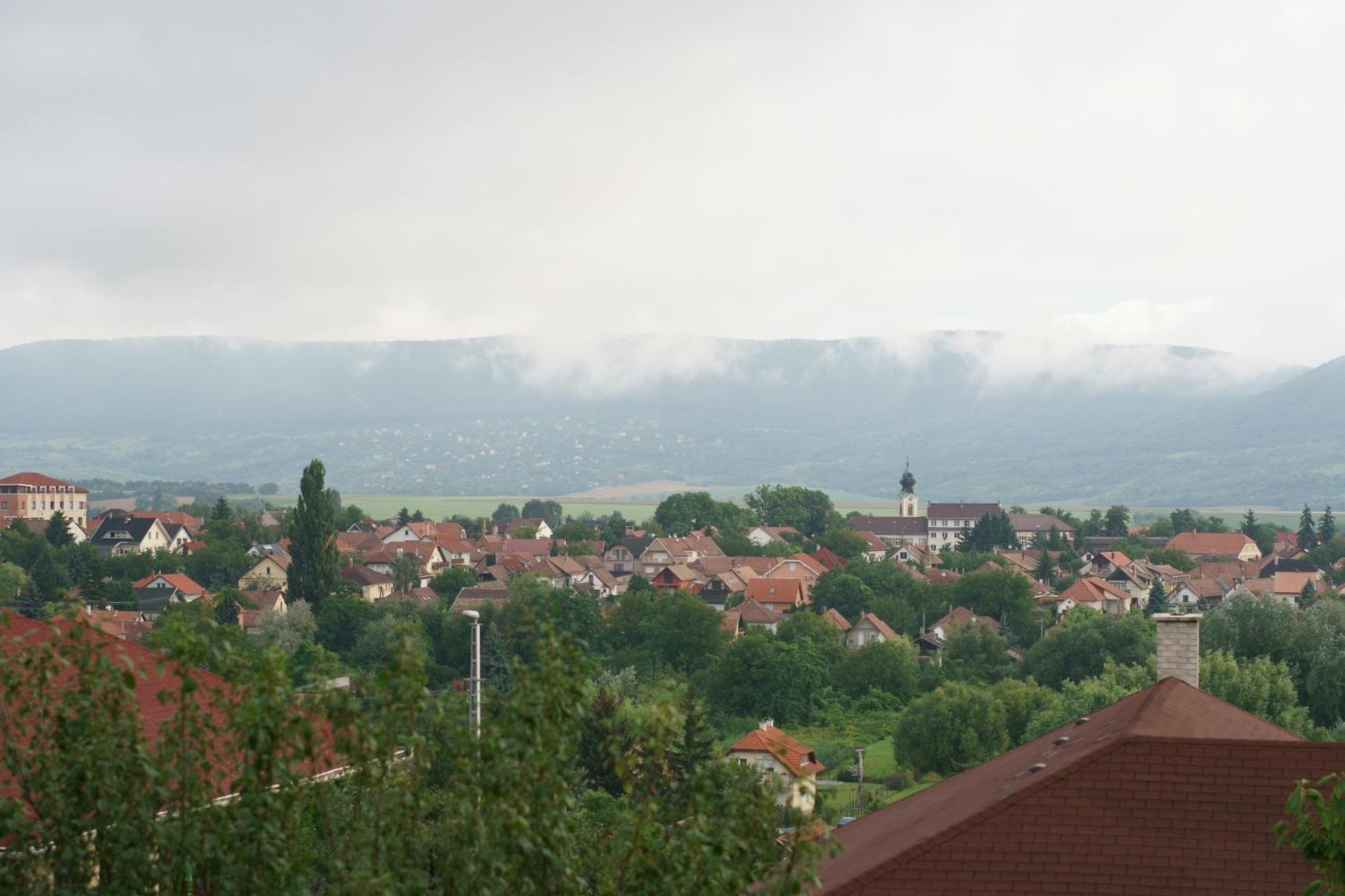 Bright charming house with a garten balkony, panoramic view Apartment Pilisvorosvar Exterior photo